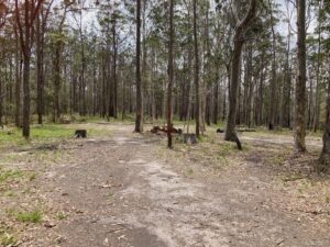 Upper Shark Creek Road, Shark Creek  NSW  2463