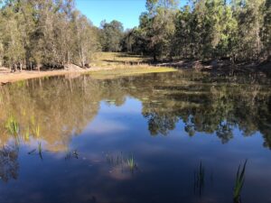 540 Kangaroo Creek Road, Coutts Crossing  NSW  2460